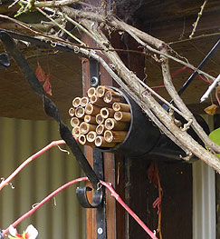 Bug Hotel Pipe and Bamboo