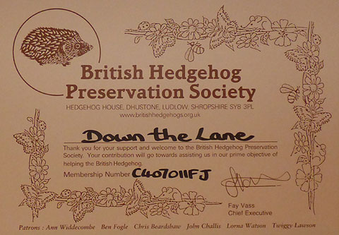 Down the Lane Hedgehog Preservation Member Certificate
