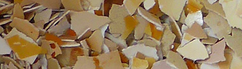 crushed egg shells