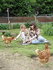 chickens as pets for children