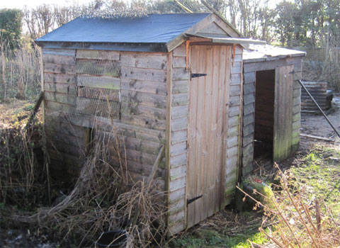 Shed converted to Coop