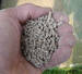 chicken feed layers pellets